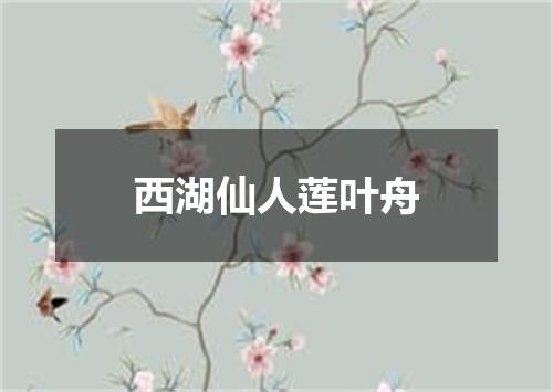 西湖仙人莲叶舟