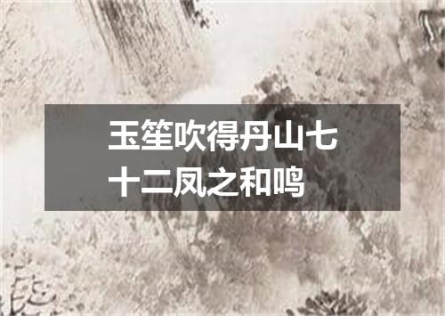 玉笙吹得丹山七十二凤之和鸣