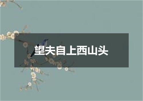 望夫自上西山头