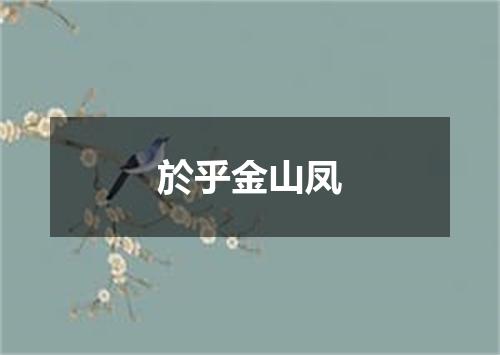 於乎金山凤