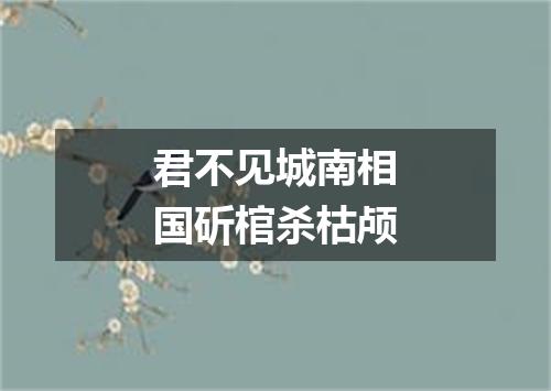 君不见城南相国斫棺杀枯颅