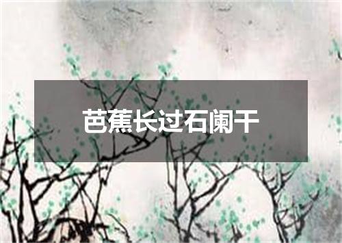 芭蕉长过石阑干