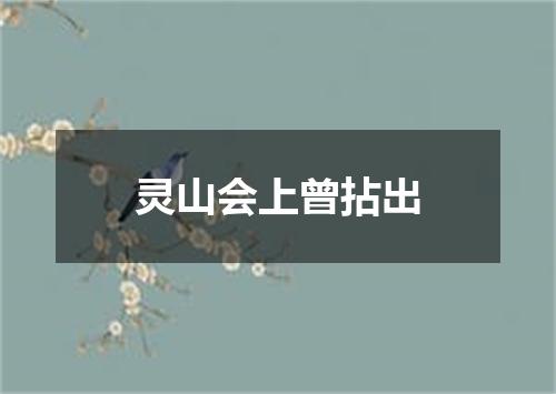 灵山会上曾拈出