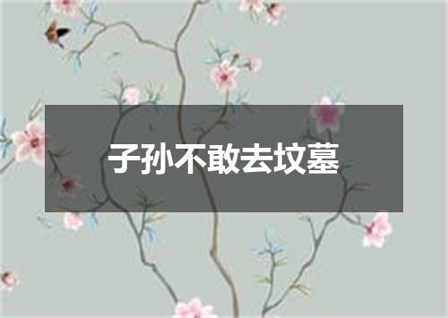 子孙不敢去坟墓