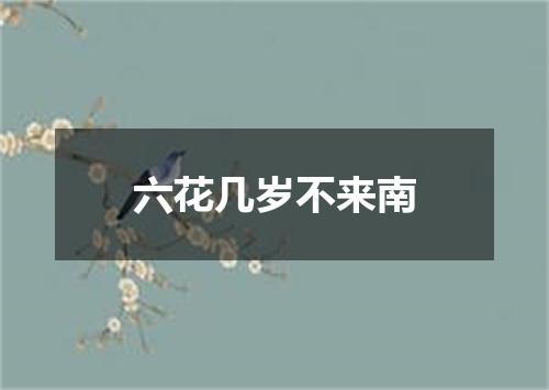 六花几岁不来南