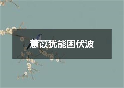 薏苡犹能困伏波