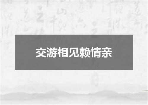 交游相见赖情亲