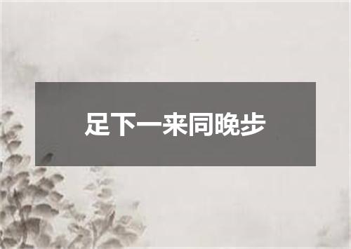 足下一来同晚步