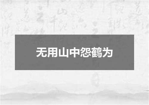 无用山中怨鹤为