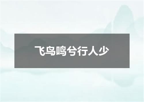 飞鸟鸣兮行人少