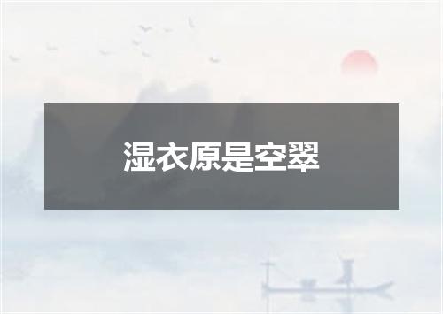 湿衣原是空翠