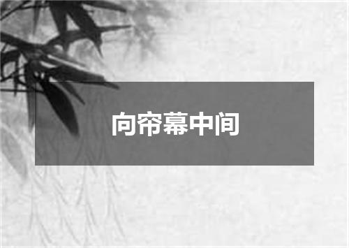 向帘幕中间