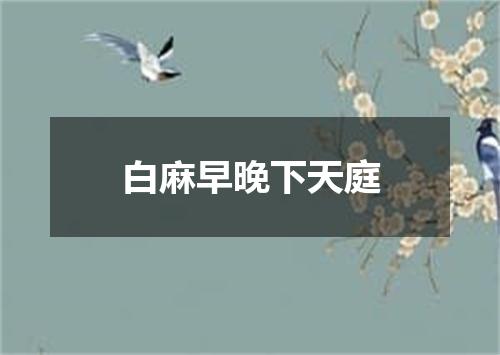 白麻早晚下天庭