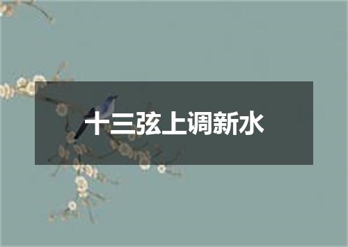 十三弦上调新水