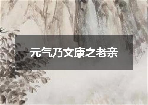 元气乃文康之老亲