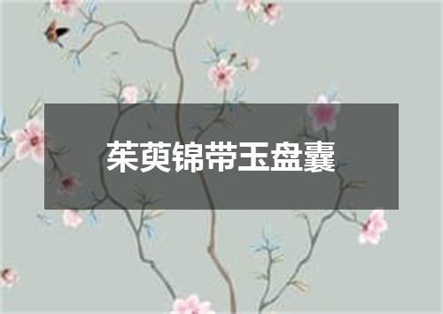 茱萸锦带玉盘囊