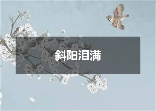 斜阳泪满