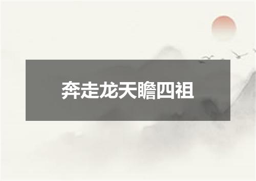 奔走龙天瞻四祖