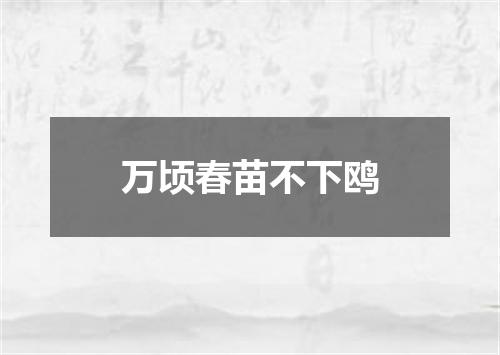 万顷春苗不下鸥