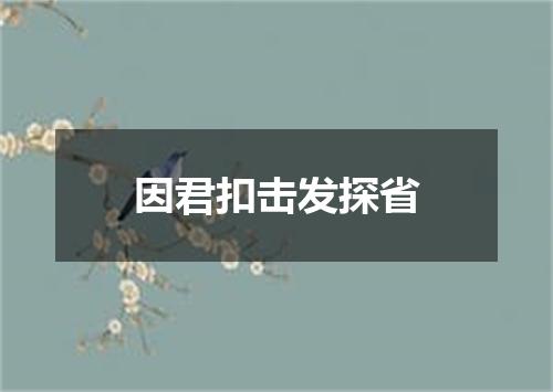 因君扣击发探省