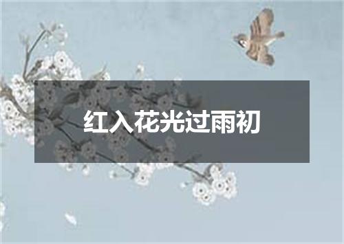 红入花光过雨初