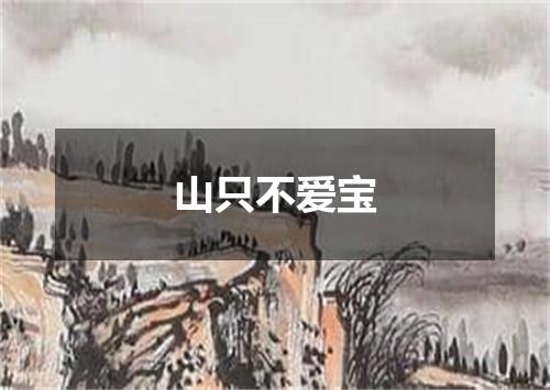 山只不爱宝