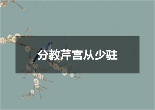 分教芹宫从少驻