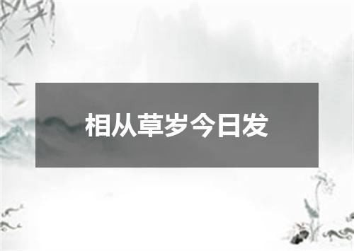 相从草岁今日发