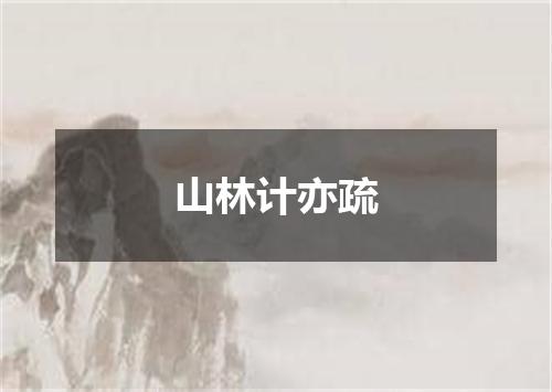 山林计亦疏