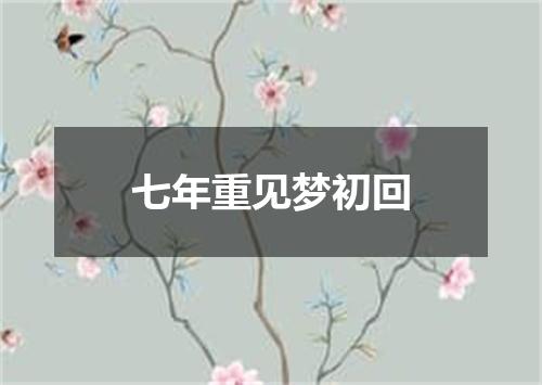 七年重见梦初回