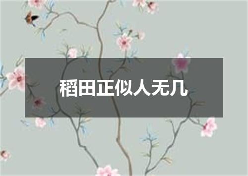 稻田正似人无几