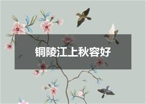 铜陵江上秋容好