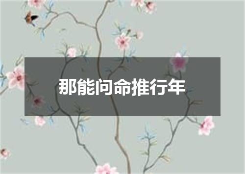 那能问命推行年