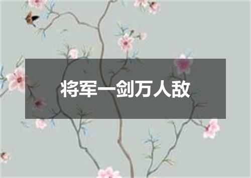 将军一剑万人敌