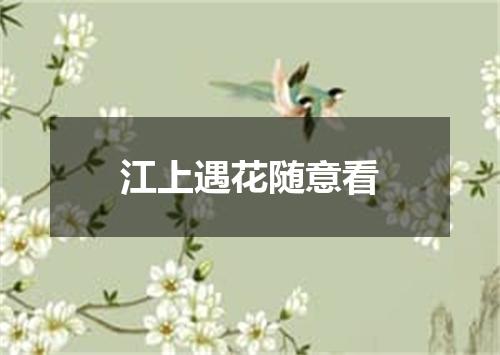 江上遇花随意看