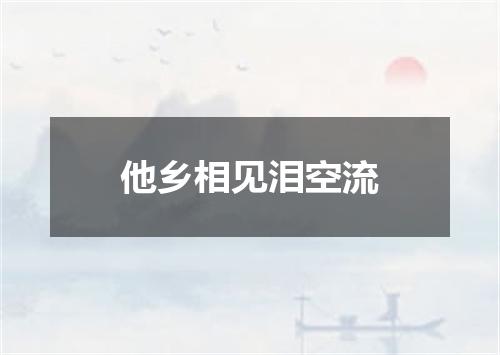 他乡相见泪空流