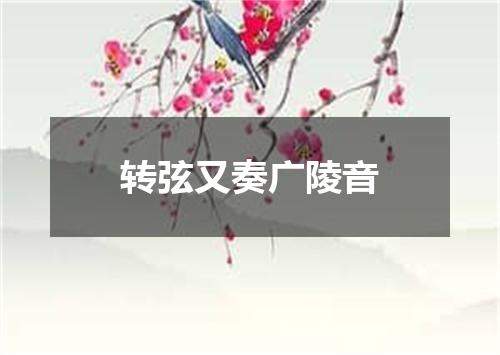 转弦又奏广陵音