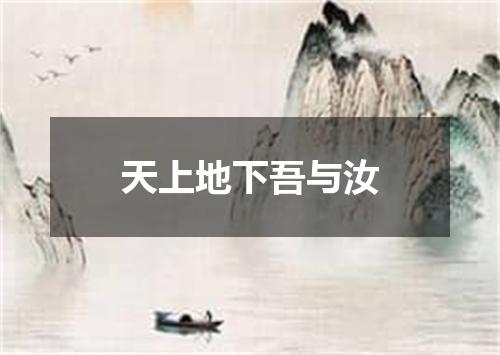 天上地下吾与汝