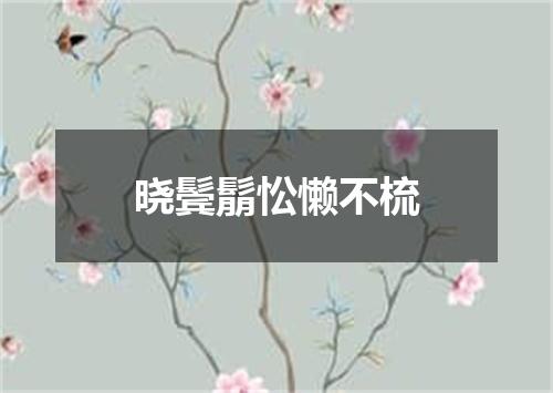 晓鬓鬅忪懒不梳