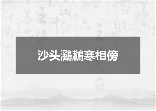 沙头鸂鶒寒相傍