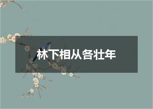 林下相从各壮年