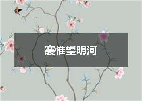 褰惟望明河