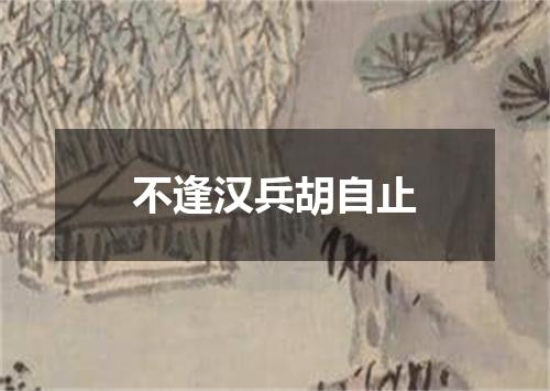 不逢汉兵胡自止