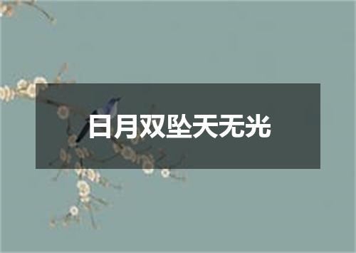 日月双坠天无光