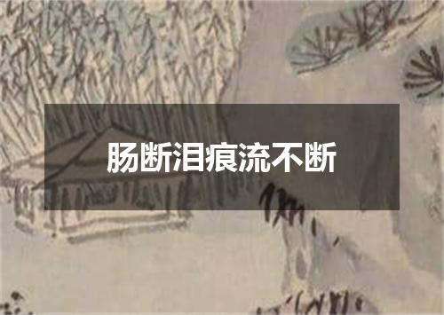 肠断泪痕流不断