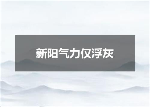 新阳气力仅浮灰