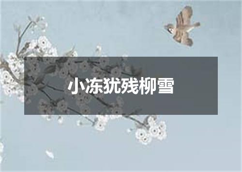 小冻犹残柳雪