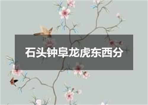 石头钟阜龙虎东西分