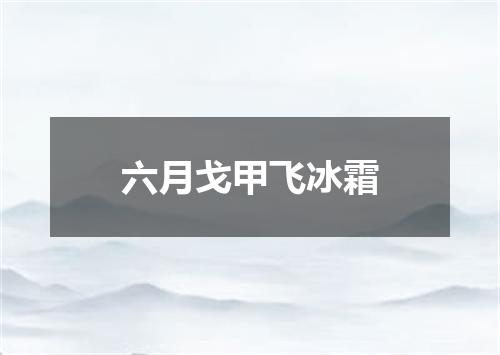 六月戈甲飞冰霜