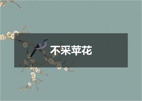 不采苹花